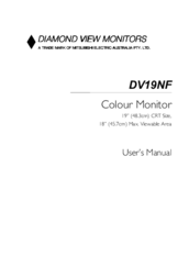 Diamond View DV19NF User Manual