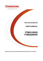 Changhong Electric FTM531R02S User Manual