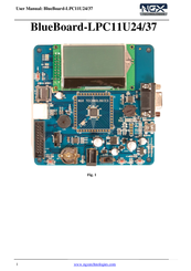 NGX Technologies BlueBoard-LPC11U24/37 User Manual