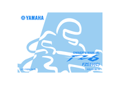 Yamaha FZS6V Owner's Manual
