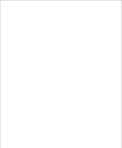 Strobies Pro-Flash Tli-C Instruction Manual