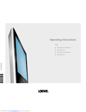loewe individual 26