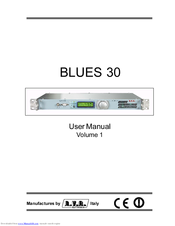 R.V.R. Electronica BLUES30 User Manual