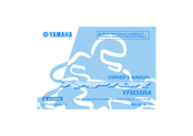 Yamaha Raptor YFM35RA Owner's Manual