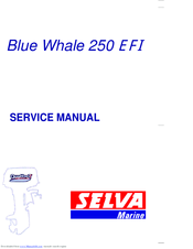 SELVA MARINE Blue Whale 250 EFI Service Manual