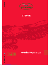 MOTO GUZZI V750 IE Workshop Manual