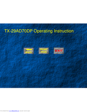 Panasonic TX-29AD70DP Operating Instructions Manual