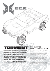 ECX Torment ECX03033IT1 Instruction Manual