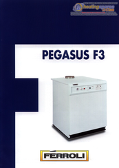 Ferroli Pegasus F3 289 Manual