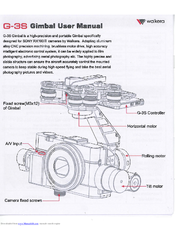 Walkera G-3S User Manual