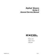 BigDog Series X General Service Manual