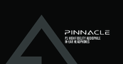Pinnacle P1 User Manual