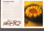Tower Hobbies Auto Slo-Cooker Recipes & Instructions