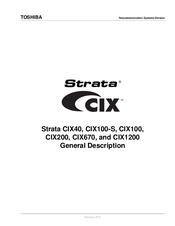 Strata CIX100-S General Description Manual