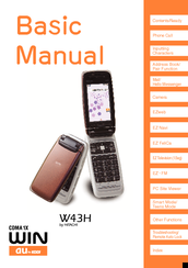 Hitachi w43h User Manual