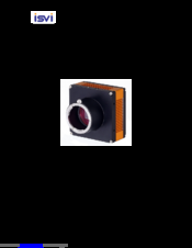 isvi IC-M29 User Manual