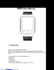 Flylink PW33 User Manual