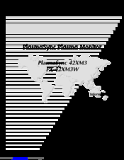 NEC PlasmaSync PX-42XM3W Model Information