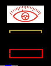 Drive-Eye GOLD User Manual