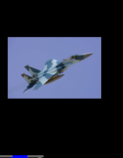 Fei Bau F 15-Eagle Assembly Manual