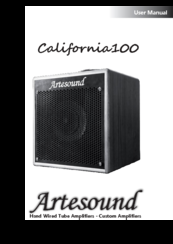 Artesound California100 User Manual