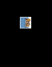 PCW Microsystems SBC2516 User Manual