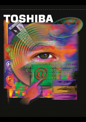 Toshiba RemotEye II User Manual