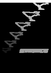 Syrincs P6W User Manual