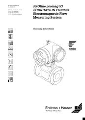 Fieldbus Specialists PROline promag 53 Operating Instructions Manual