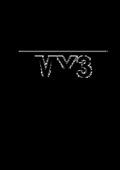 Custom Audio Electronics MY3 User Manual