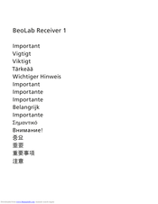Bang & Olufsen BeoLab 1 Important Notes