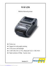 Megatron WSP-i250 Manual