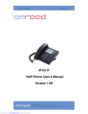 Amroad IP101/P User Manual