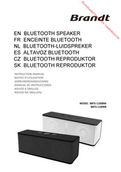 Brandt BBTS-1100RB Instruction Manual