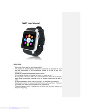 Flylink PW37 User Manual