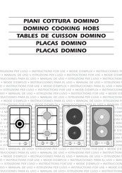 Domino II 2H3+ Instructions For Use Manual