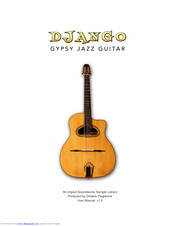 Django Gypsy Jazz User Manual