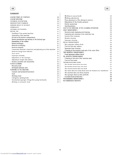 Sapphire Audio 85s User Manual