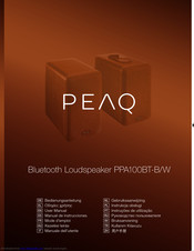 Peaq PPA100BT-B/W User Manual