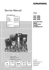 Grundig M 55-290/8 IDTV Service Manual