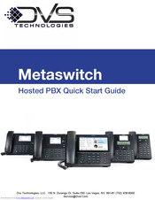 DVS Metaswitch Quick Start Manual