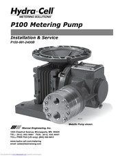 Wanner Engineering P100 Installation & Service Manual