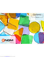 NGM dynamic now Quick Manual
