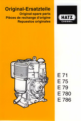 Hatz Diesel E71 Original-Spare Parts
