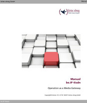 bintec elmeg be.IP 4isdn Manual