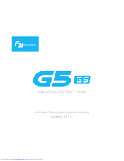 Guilin Feiyu Technology G5 GS User Manual
