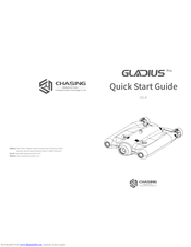 Chasing Gladius Standard Pro Quick Start Manual