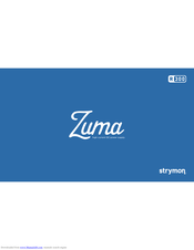 Strymon ZUMA R300 User Manual