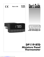 Omega DP119-RTD User Manual