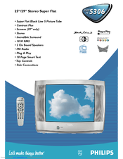 Philips 29PT5306 Specifications